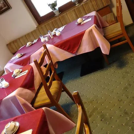 Hotel Haus Brauer 3*